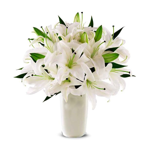  Antalya Çiçek Vazoda Beyaz Lilyumlar