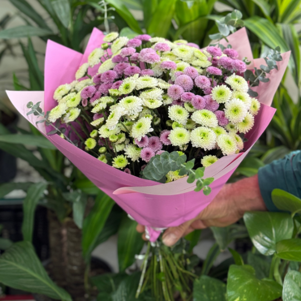  Antalya Çiçek Siparişi - Pembe/Beyaz Zarif Kasımpatı Buketi