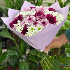  Antalya Çiçek Siparişi - Pembe/Beyaz Zarif Kasımpatı Buketi