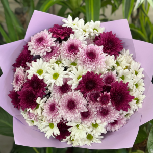 Antalya Çiçekçi - Pembe/Beyaz Zarif Kasımpatı Buketi