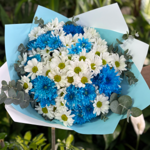 Antalya Çiçekçi - Mavi Kasımpatı Buketii