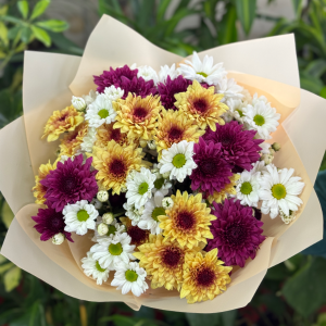 Antalya Çiçekçi - Masum Kasımpatı Buketi