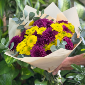  Antalya Çiçek Gönder - Mavi Kasımpatı Buketi