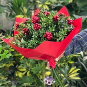 Antalya Çiçekçi - Yılbaşı Kokina Buketi