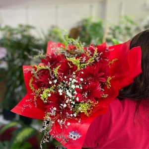 Antalya Çiçekçi - Kırmızı Gerbera Buketi