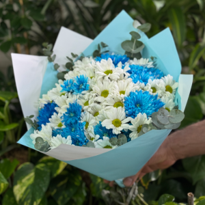  Antalya Çiçekçiler - Mavi Kasımpatı Buketii