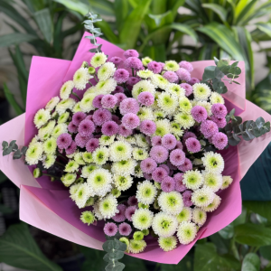 Antalya Çiçekçi - Narin Kasımpatı Buketi