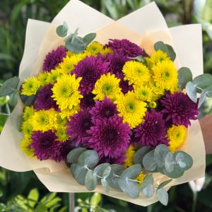  Antalya Çiçek Gönder - Mavi Kasımpatı Buketi