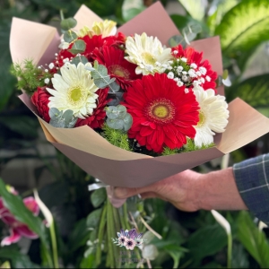  Antalya Çiçek Siparişi - Kırmızı/Beyaz Gerbera Buketi