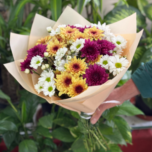  Antalya Çiçekçiler - Masum Kasımpatı Buketi